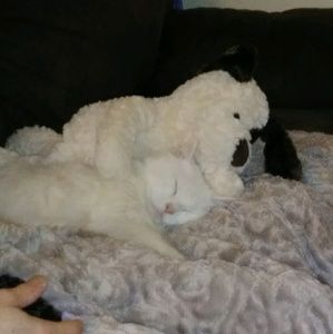 Meet your Posher, Tricia